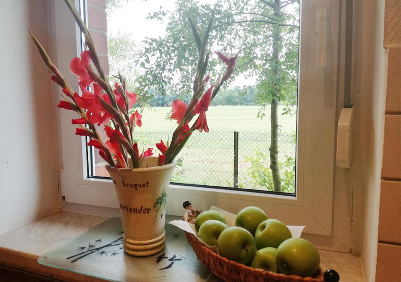 Ferienhaus Elpare Schleife Exteriör bild