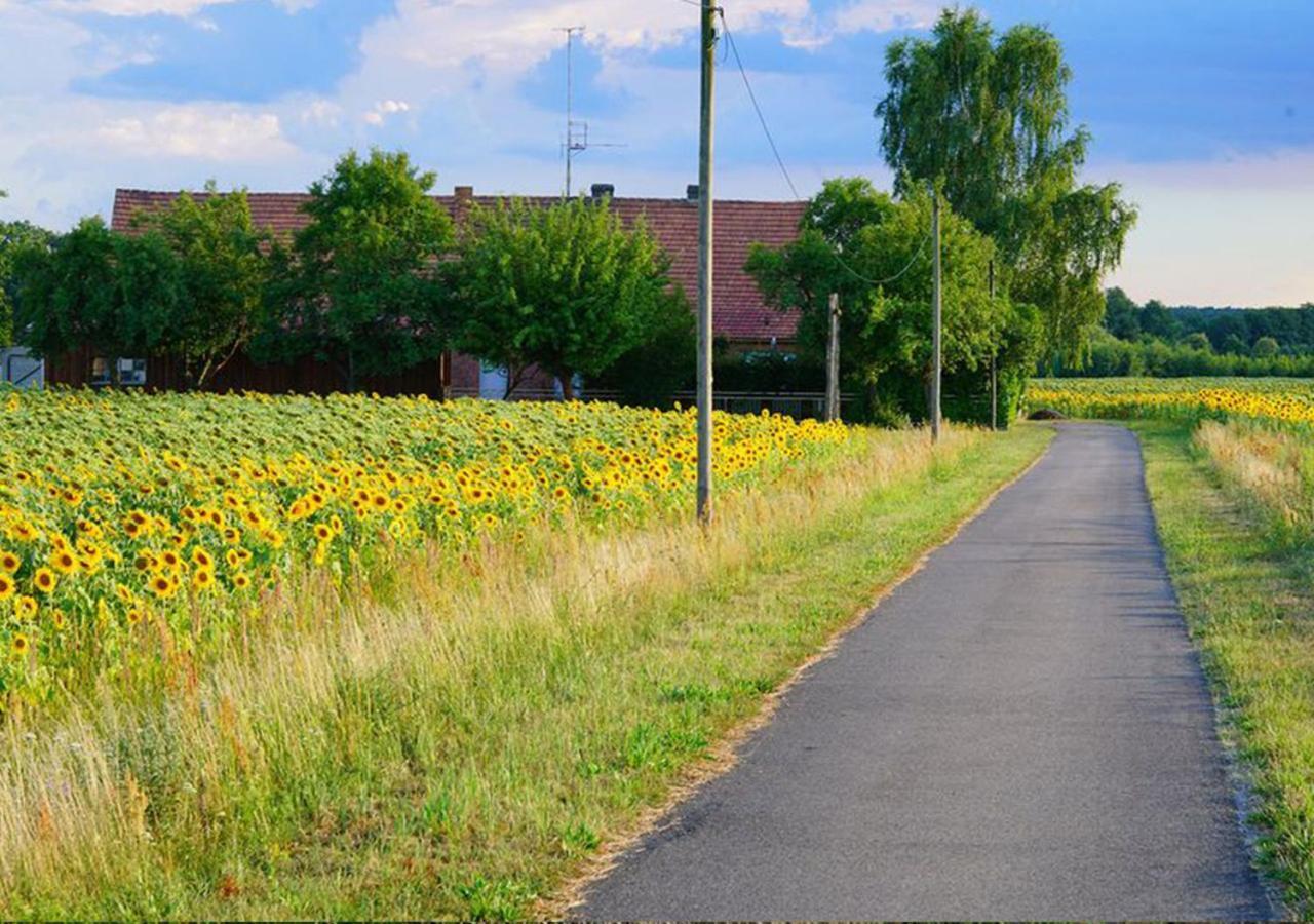 Ferienhaus Elpare Schleife Exteriör bild